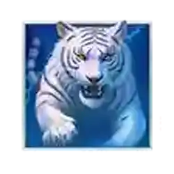 Collect of Thunder Tiger Slot