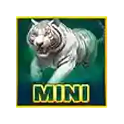 Bonus and Collect of Thunder Tiger Slot