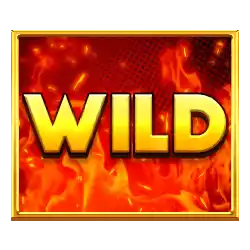 Wild Symbol