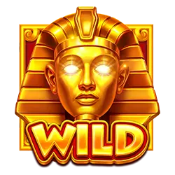 symbol wild