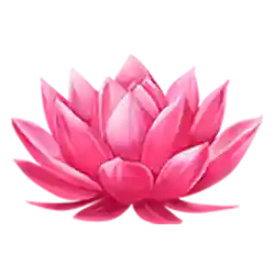 immediate multiplier