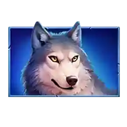 Symbol 04 Bison Fortune Coins