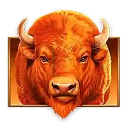Symbol 01 Bison Fortune Coins