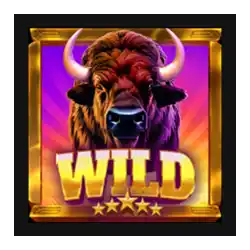 Wild Symbol