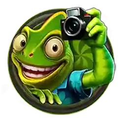 Wild and Collect of Cooked Slot