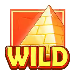 Wild Symbol