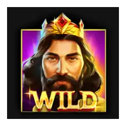 Wild Symbol