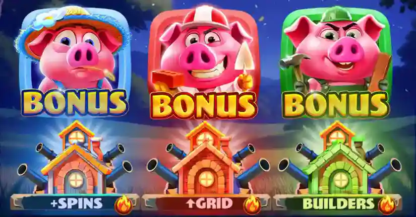 Bonus Collectors