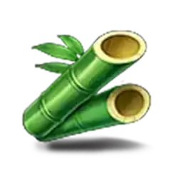 Bamboo