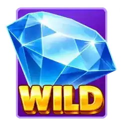 Wild Symbol