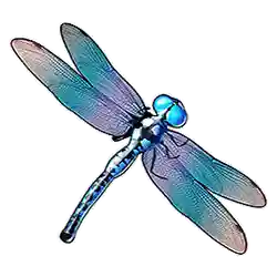 Symbol 03 Big Bass Splash – Jackpot Star