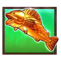 Collect of Big Bass Splash – Jackpot Star Slot