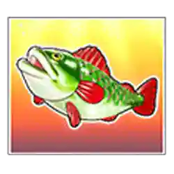 Collect of Big Bass Splash – Jackpot Star Slot
