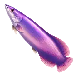 Symbol 04 Fishing Club 2