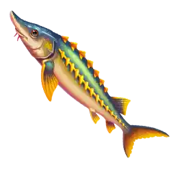 Symbol 02 Fishing Club 2