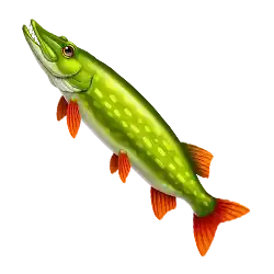 Symbol 07 Fishing Club 2