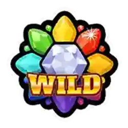 Wild symbol