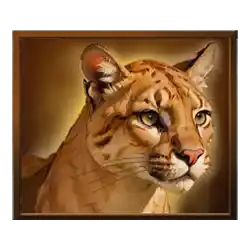 Symbol 02 Grand Buffalo Hold & Win