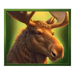 Symbol 03 Grand Buffalo Hold & Win