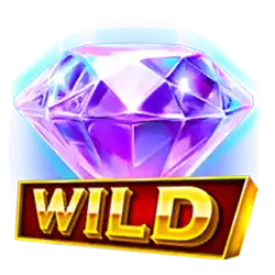 Wild Symbol