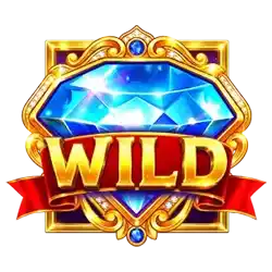 Wild symbol