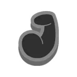 Symbol 09 Red Rascal