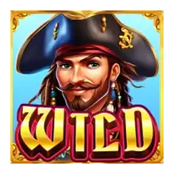 Wild Symbol