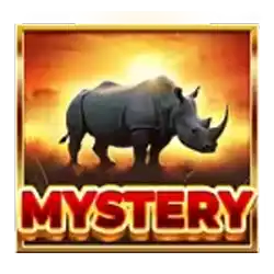 Mystery Coin Symbol