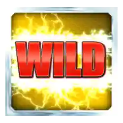 Wild symbol