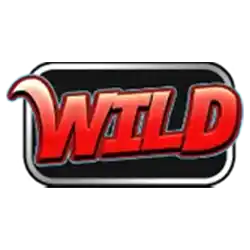 Wild Symbols