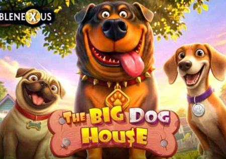 The Big Dog House
