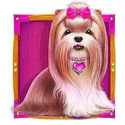 Symbol 02 The Big Dog House