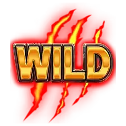 Wild symbol