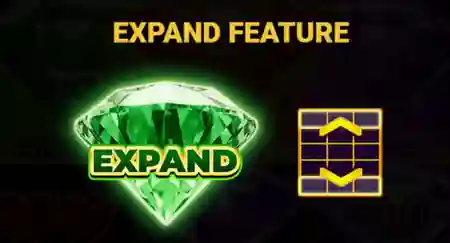Expand function