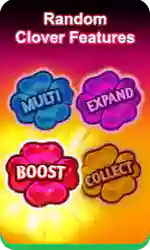 Buy Bonus 01