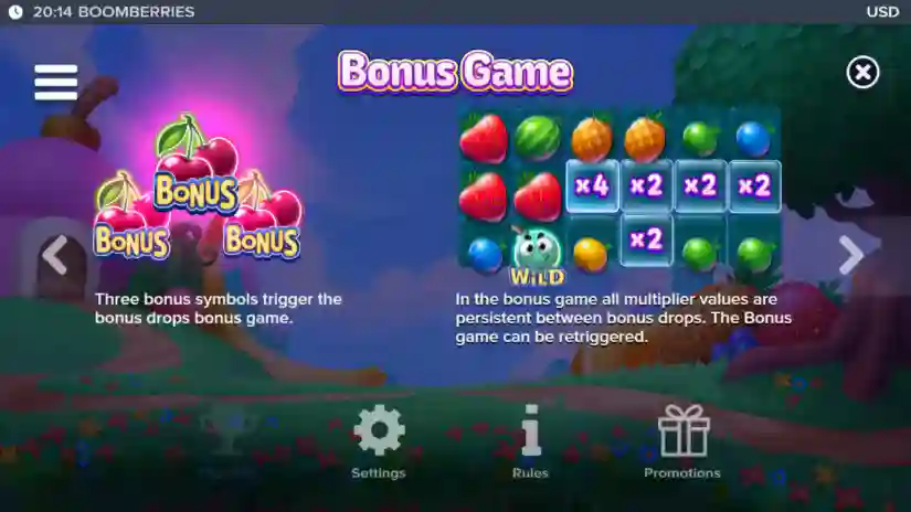Bonus Game