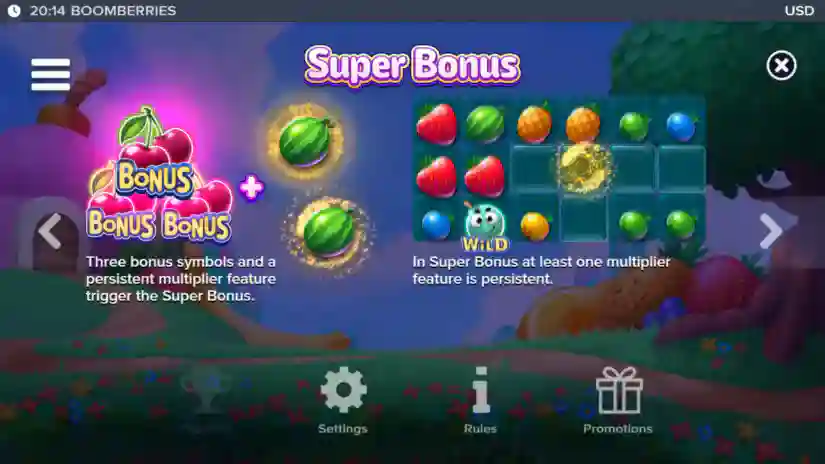 Super Bonus