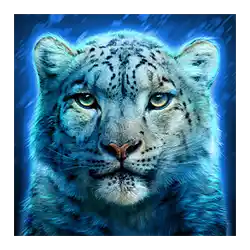 Symbol 03 Cat-Ching
