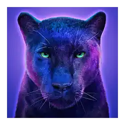 Symbol 04 Cat-Ching