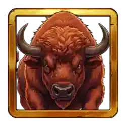 Bison Wild