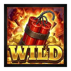 Wild Symbol