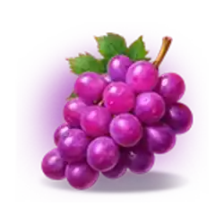 Symbol 04 Fortune Coins Unlimited Fortune