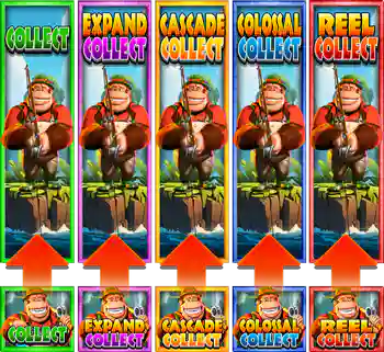 Collect Feature