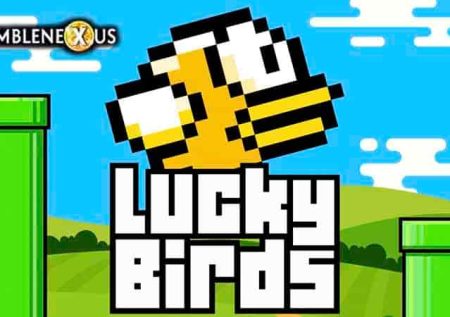 Lucky Birds