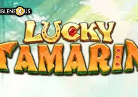 Lucky Tamarin
