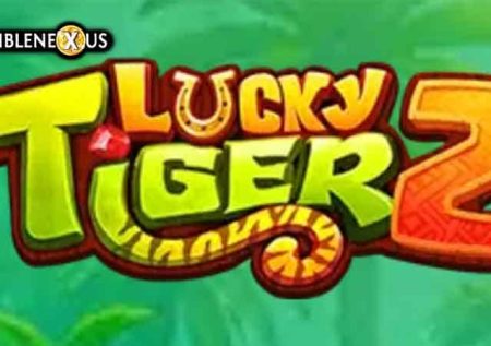 Lucky Tiger 2