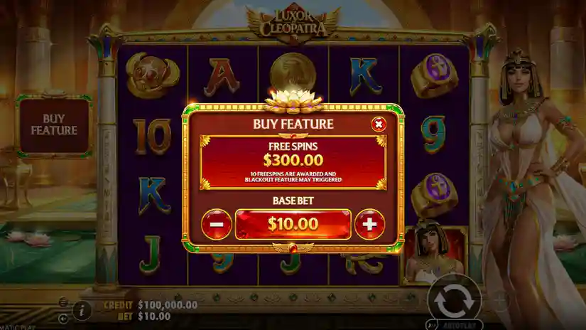 Buy Bonus