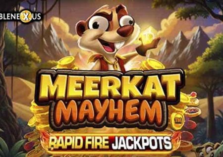 Meerkat Mayhem