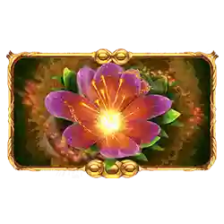 Symbol 03 Nuwa Deluxe