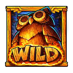Wild Sumbol